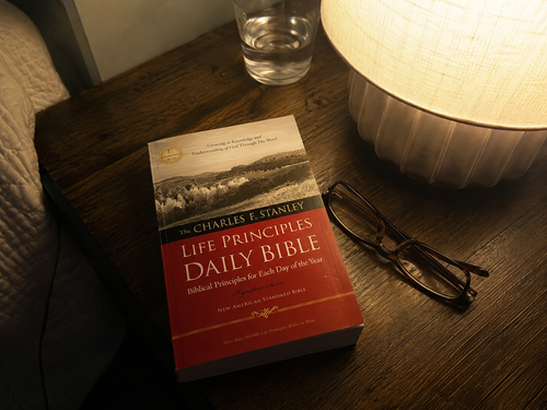 The Life Principles Daily Bible