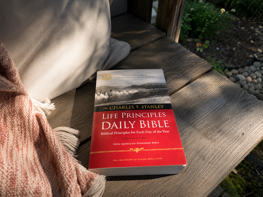 The Life Principles Daily Bible